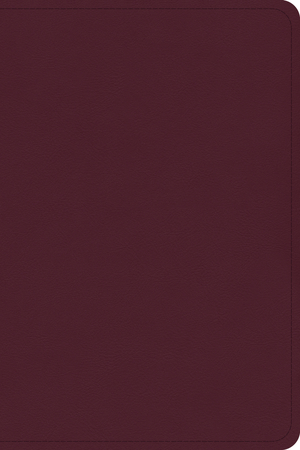 CSB Large Print Compact Reference Bible, Cranberry Leathertouch