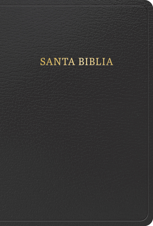 RVR 1960 Biblia letra grande tamaño manual, negro imitación piel (Edición 2023)