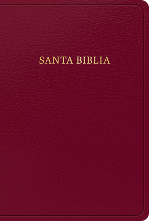 RVR 1960 Biblia letra grande tamaño manual, borgoña imitación piel (Edición 2023)