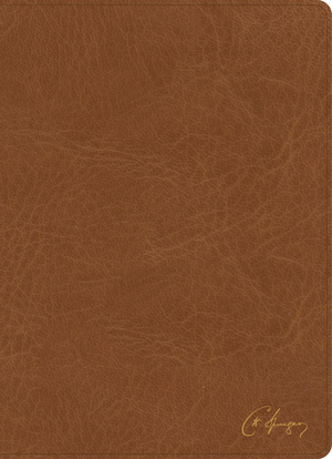 KJV Spurgeon Study Bible, Tan LeatherTouch