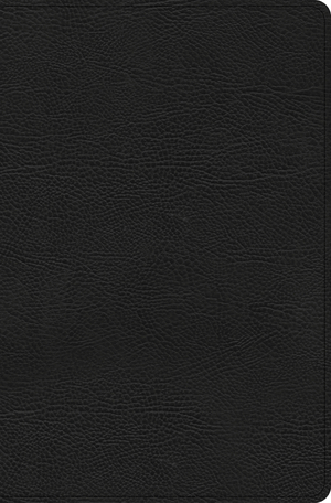 CSB Everyday Study Bible, Black Bonded Leather