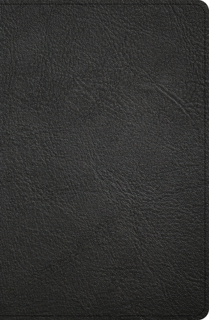 KJV Personal Size Giant Print Bible, Black Genuine Leather