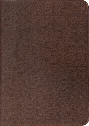 ESV Study Bible Cowhide Dark Brown, Illustrated, Maps, Study Guides, Articles, Concordance