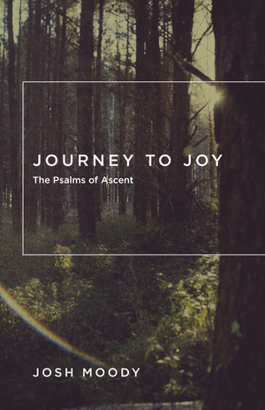 Journey to Joy