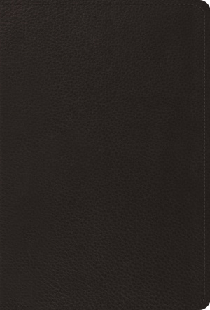 The Psalms, ESV, Top Grain Leather, Black, Ribbon Marker, Large Print, Compact