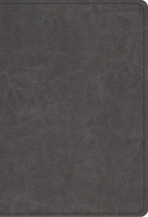 ESV Student Study Bible, Imitation Leather, Gray, Study Notes, Concordance, Maps, Topical Articles