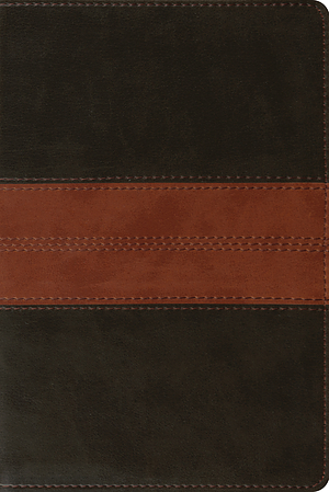 ESV Personal Reference Bible