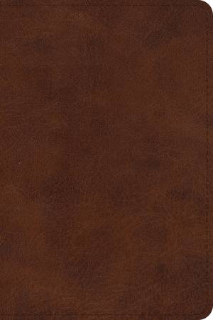 ESV Large Print Bible (TruTone, Deep Brown)