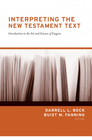 Interpreting the New Testament Text