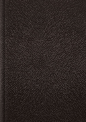 ESV Single Column Journaling Bible, Large Print (Buffalo Leather, Deep Brown)