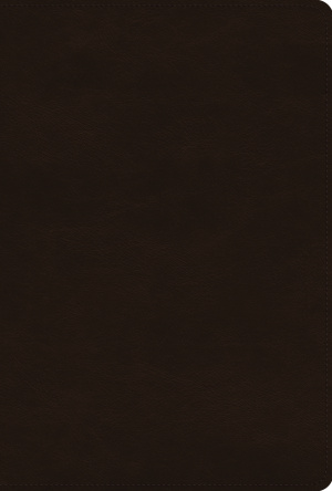 ESV Women's Study Bible (TruTone, Deep Brown)