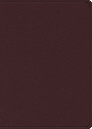 ESV Study Bible, Burgundy, Bonded Leather, Large Print