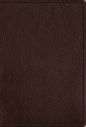 ESV Women's Study Bible (British Tan)