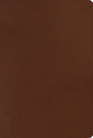 ESV Men's Study Bible (TruTone, Brown)