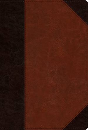 ESV Men's Study Bible (TruTone, Brown/Cordovan, Portfolio Design)