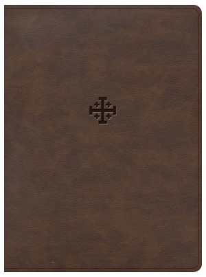 CSB Life Connections Study Bible, Brown LeatherTouch