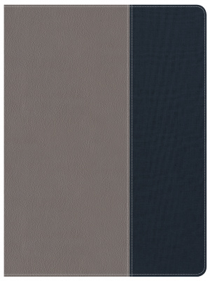 CSB Apologetics Study Bible for Students, Gray/Navy LeatherTouch