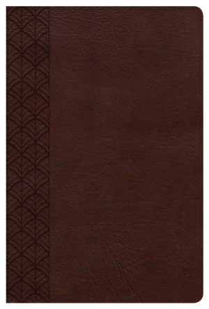 The CSB Study Bible For Women, Chocolate LeatherTouch, Indexed