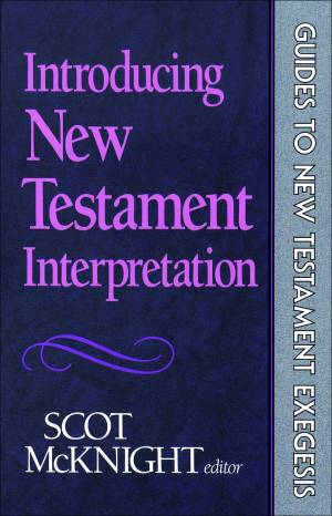 Introducing New Testament Interpretation (Guides to New Testament Exegesis) [eBook]