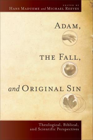 Adam, the Fall, and Original Sin [eBook]