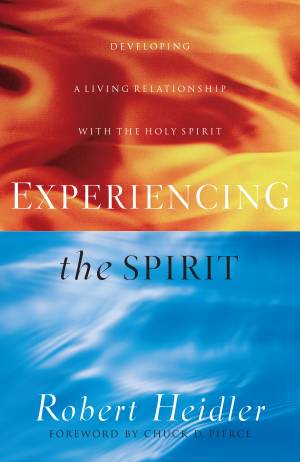 Experiencing the Spirit [eBook]