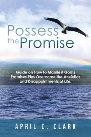 Possess the Promise: Guide on How to Manifest God's Promises Plus Overcome the Anxieties and Disappointments of Life.