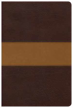 CSB Disciple's Study Bible, Brown/Tan LeatherTouch