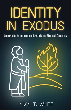 Identity in Exodus: Journey with Moses from Identity Crisis into Missional Community