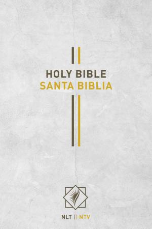 Bilingual Bible / Biblia bilingüe NLT/NTV (Hardcover, Gray)