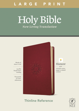 NLT Large Print Bible, Red, Imitation Leather, Thinline, References, Filament, Premium Value, Print + Digital Bible, App Content, Study Material, Devotional Material