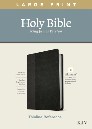 KJV Large Print Thinline Reference Bible, Filament Enabled (LeatherLike, Black/Onyx, Red Letter)