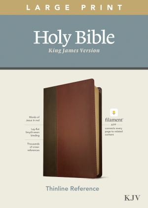 KJV Large Print Thinline Reference Bible, Filament Enabled (LeatherLike, Brown/Mahogany, Red Letter)