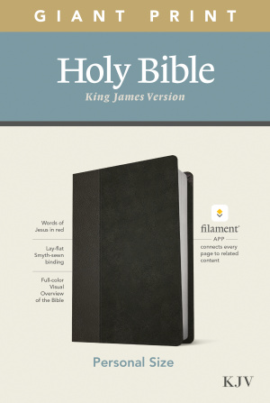 KJV Personal Size Giant Print Bible, Filament Enabled (LeatherLike, Black/Onyx, Red Letter)