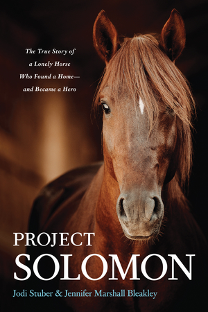 Project Solomon