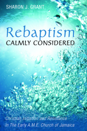 Rebaptism Calmly Considered