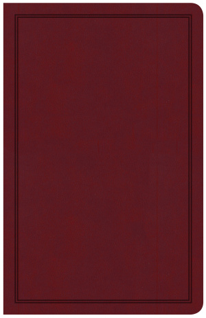 CSB Deluxe Gift Bible