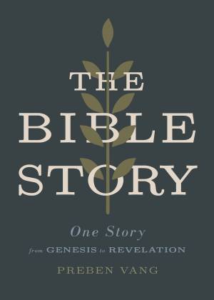 Bible Story