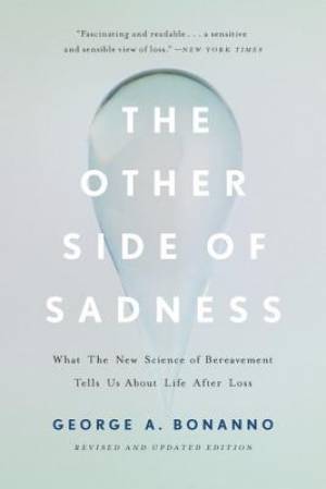 The Other Side Of Sadness (revised)