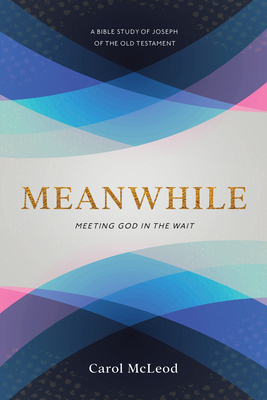 Meanwhile: Meeting God in the Wait: Meeting God in the Wait