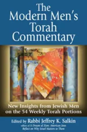 The Modern Men's Torah Commentary