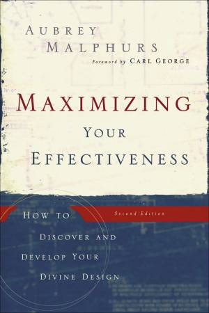 Maximizing Your Effectiveness [eBook]