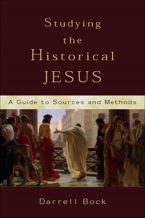 Studying the Historical Jesus [eBook]