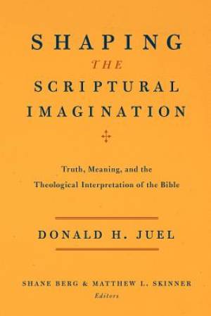 Shaping the Scriptural Imagination