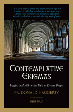 Contemplative Enigmas: Insights and Aid on the Path to Deeper Prayer