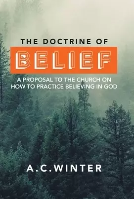 The Doctrine of Belief: A Proposal to the Church on How to Practice Believing in God