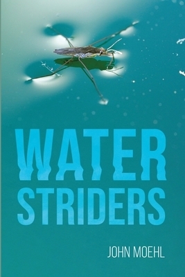 Water Striders