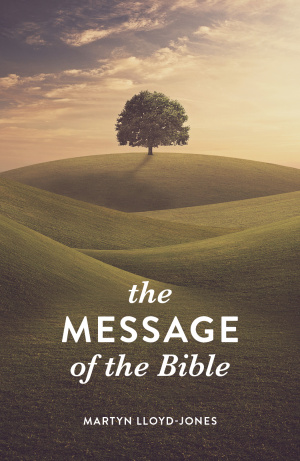 25 x The Message of the Bible Tracts