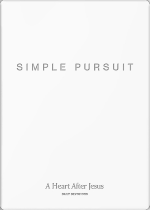 Simple Pursuit