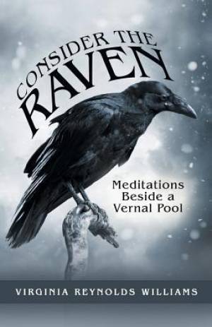 Consider The Raven