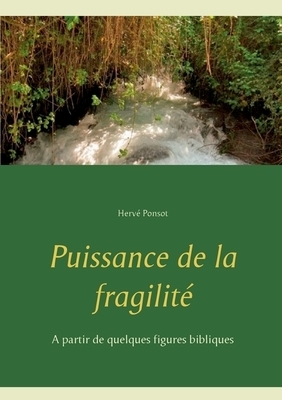 Puissance De La Fragilite